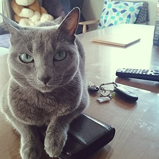 kosame918さんの実例写真