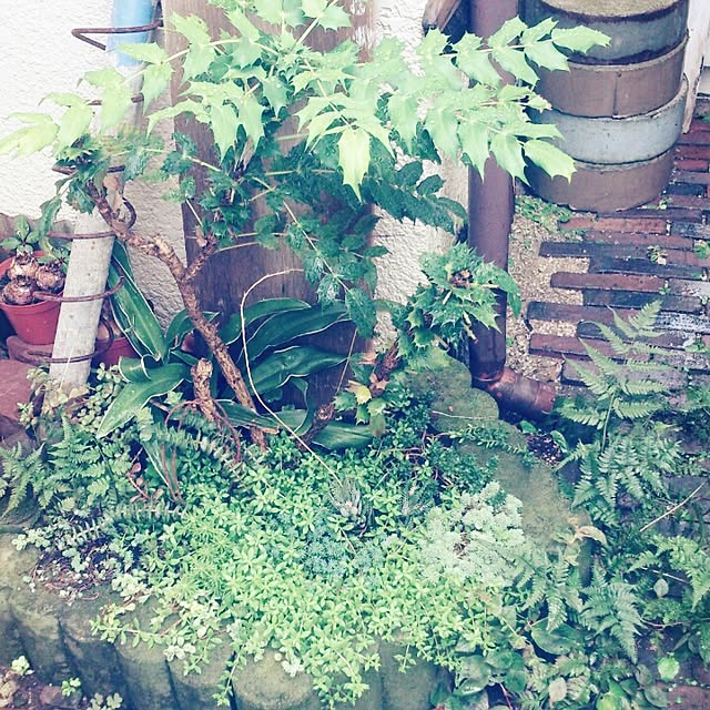 GreenWorksさんの実例写真