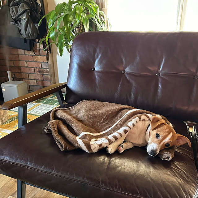 PU930さんの部屋