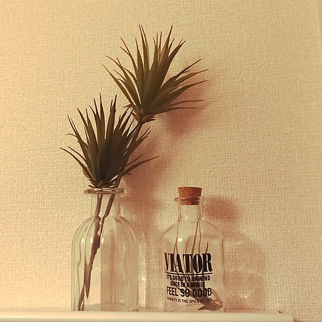 oriさんの実例写真