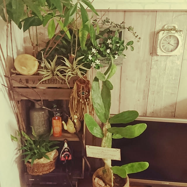 送料無料】VINTAGE Collection 陶器 アロマ超音波加湿器 M
