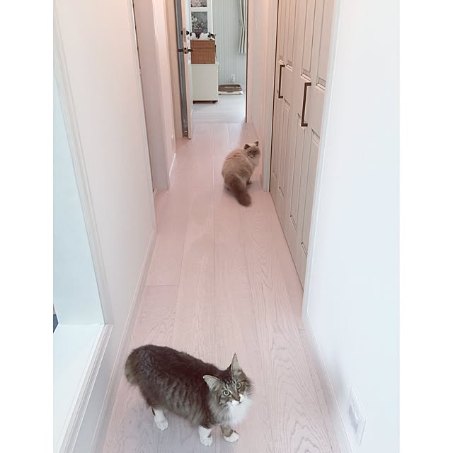 yuchiさんの実例写真