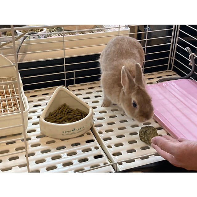 manekinekoさんの部屋