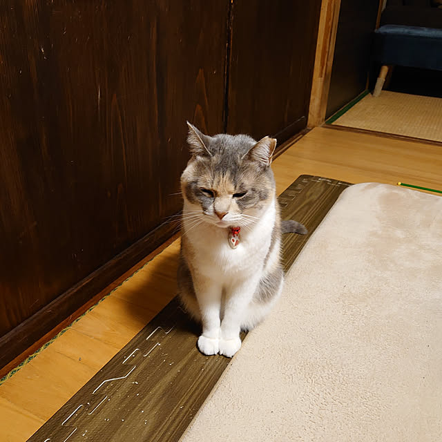 fukuさんの実例写真