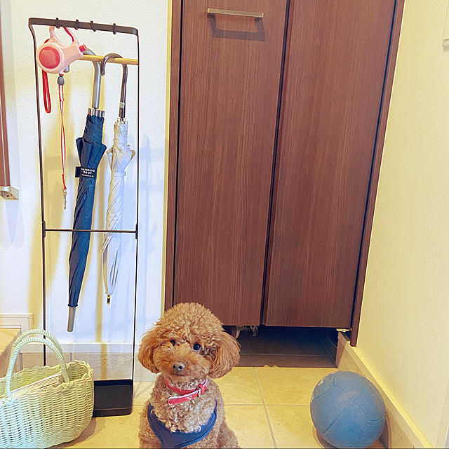 halkさんの実例写真