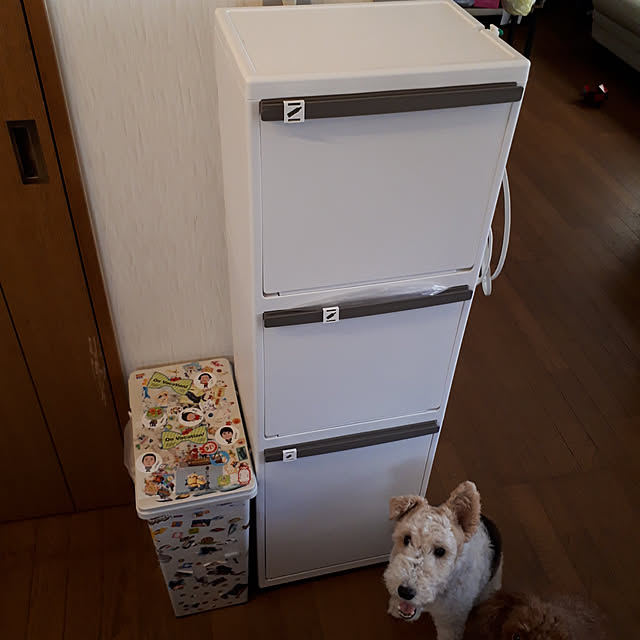 キッチン/実家/実家に移り住む/いいね！押し逃げばかりでごめんなさい。/ごみ箱...などのインテリア実例 - 2018-08-28 10:13:05