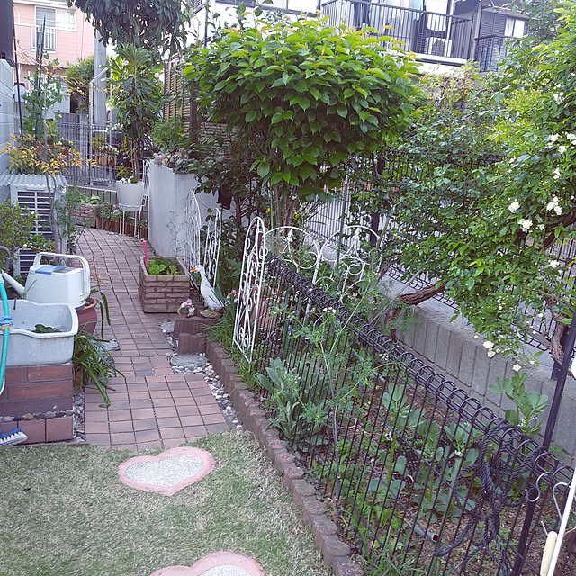 実例写真