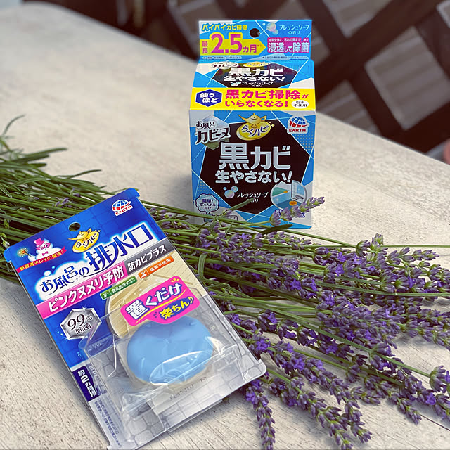 ray55さんの実例写真