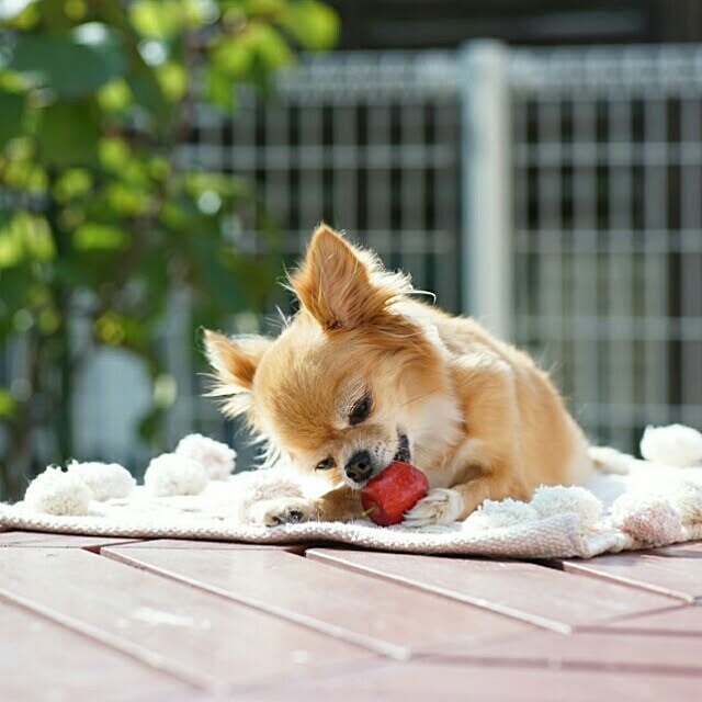 achiさんの実例写真