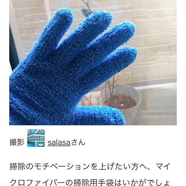 salasaさんの実例写真