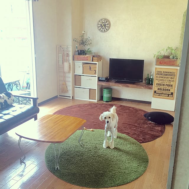 anさんの実例写真