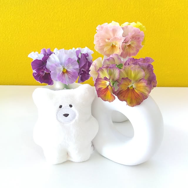 suuさんの部屋