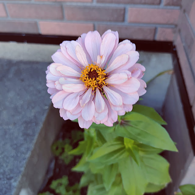 kiraさんの実例写真