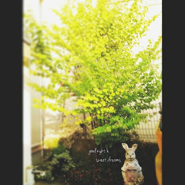 nico.さんの実例写真