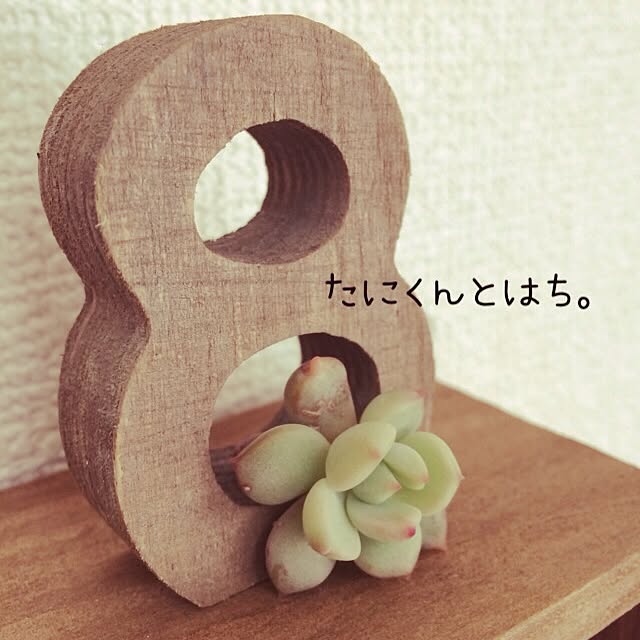 haruさんの実例写真