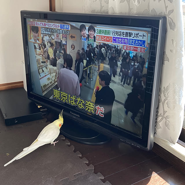 toratanさんの部屋