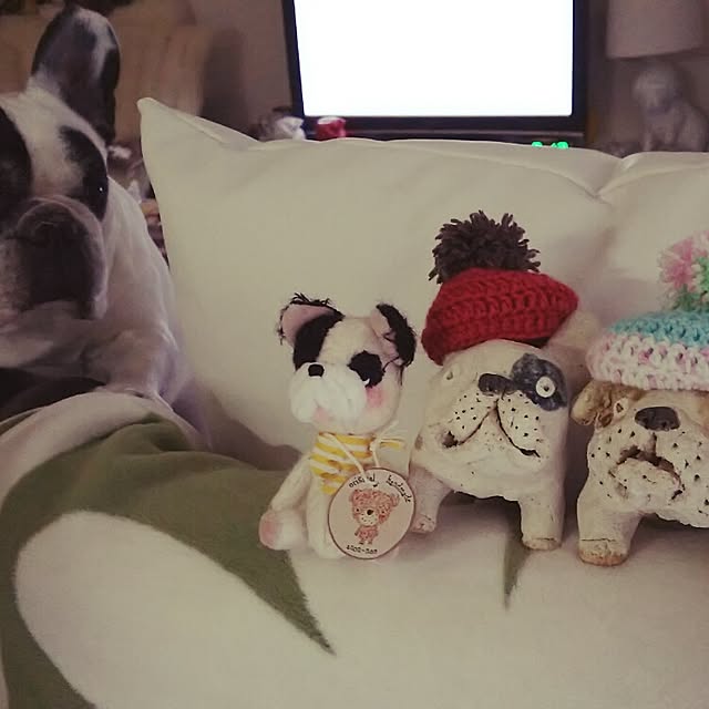 panchobiさんの部屋