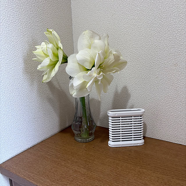nannoさんの部屋