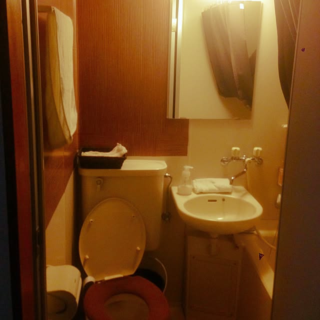 バス/トイレ/DIYのインテリア実例 - 2015-06-19 18:19:52