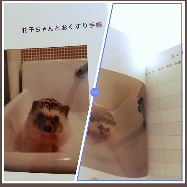 kuruさんの実例写真