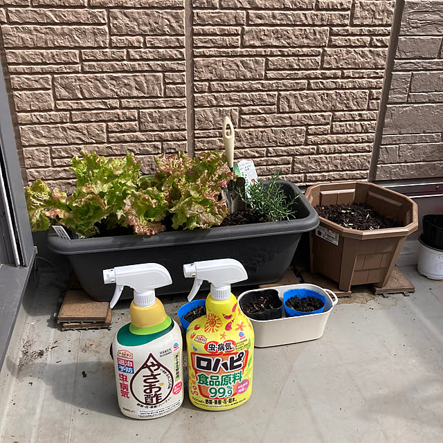 Omachanさんの実例写真