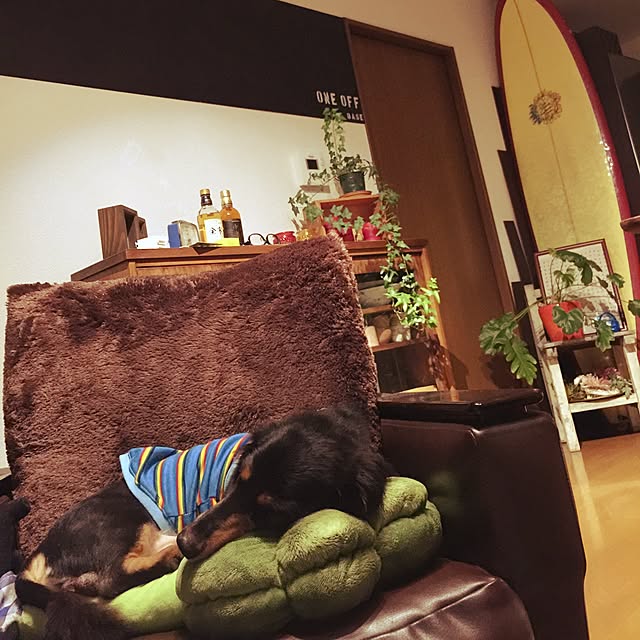 SHIMAさんの実例写真