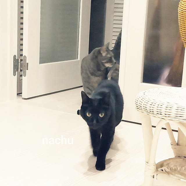 nachuさんの実例写真