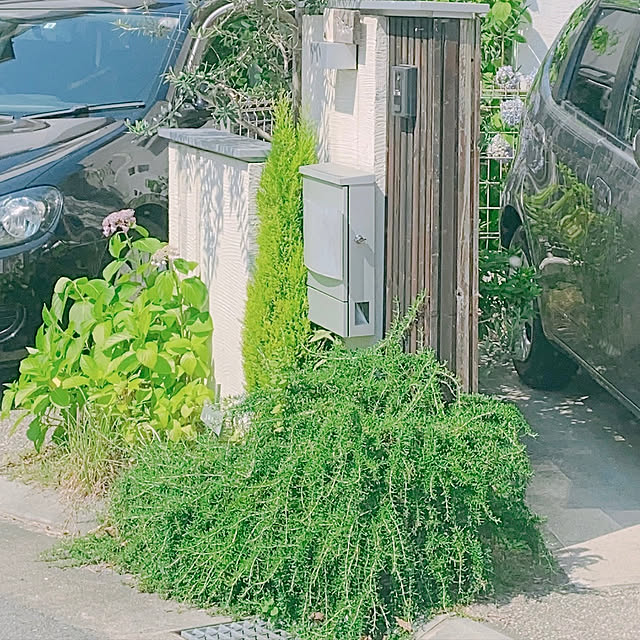 relaxsunさんの実例写真