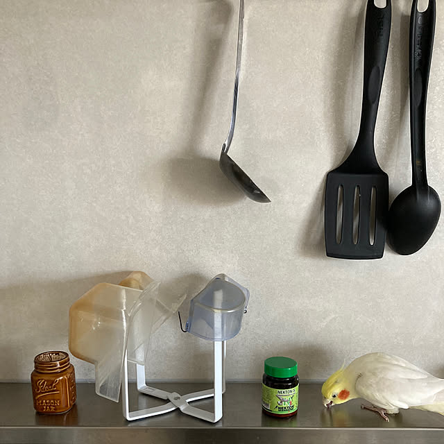 toratanさんの部屋