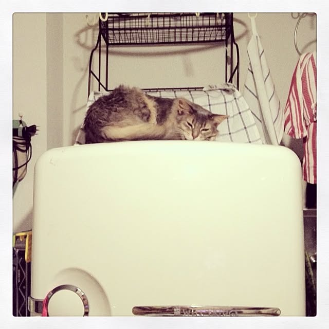 ayaKawasakiさんの実例写真