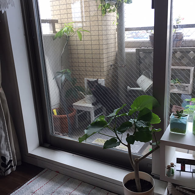 sleptcatさんの実例写真