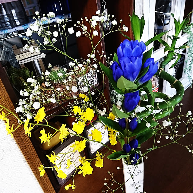 todorinkoさんの実例写真