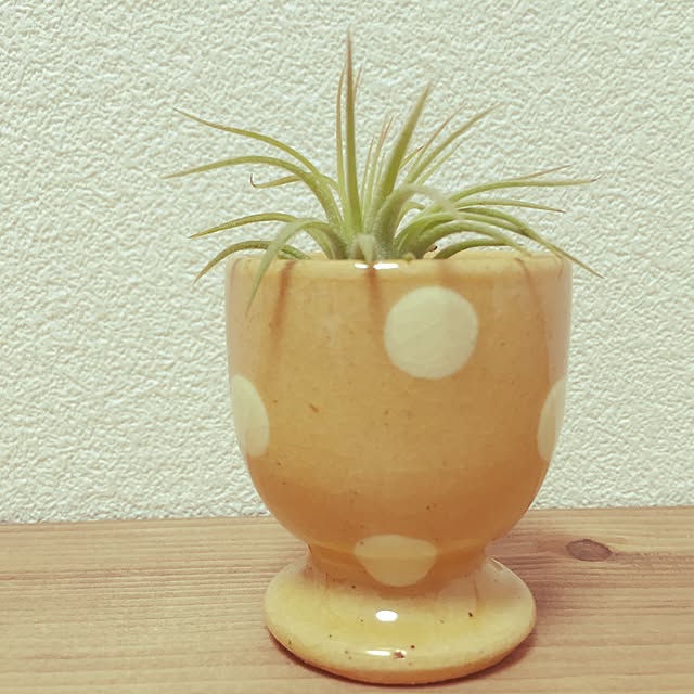 YUKAさんの実例写真