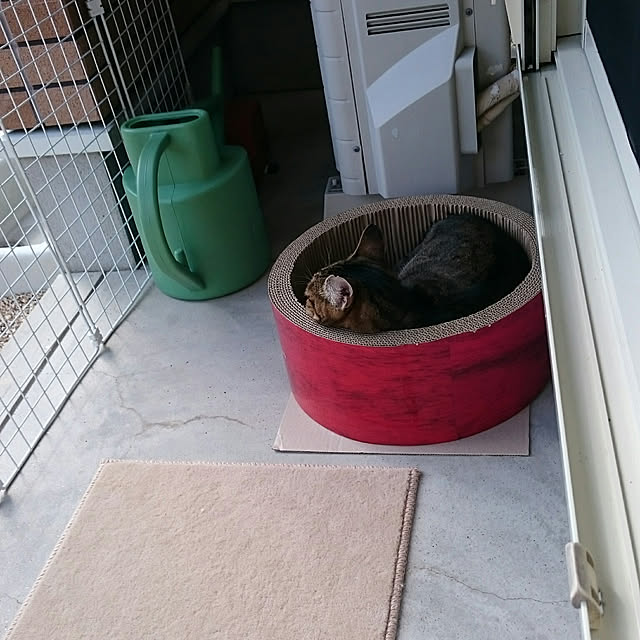 lilyさんの実例写真