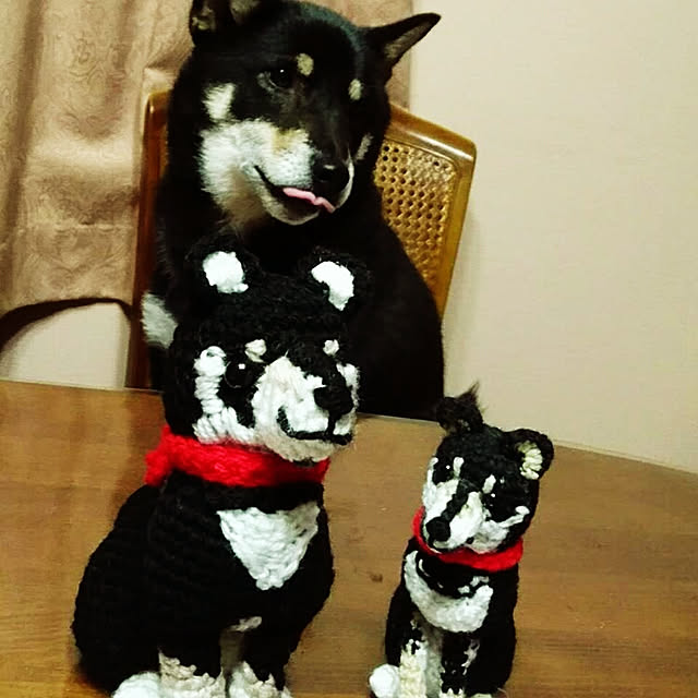 tsutawarimasuさんの実例写真