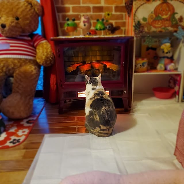 kumutanさんの実例写真