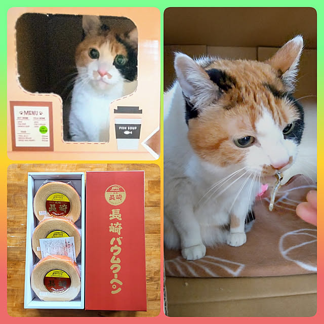nanaさんの実例写真