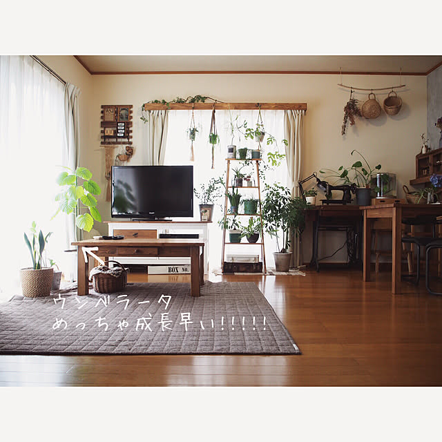 yu_kiさんの実例写真
