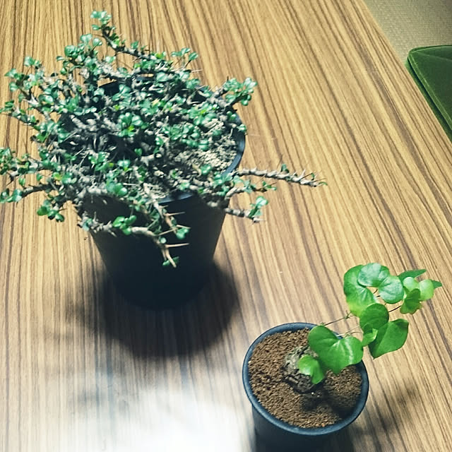 takenさんの実例写真