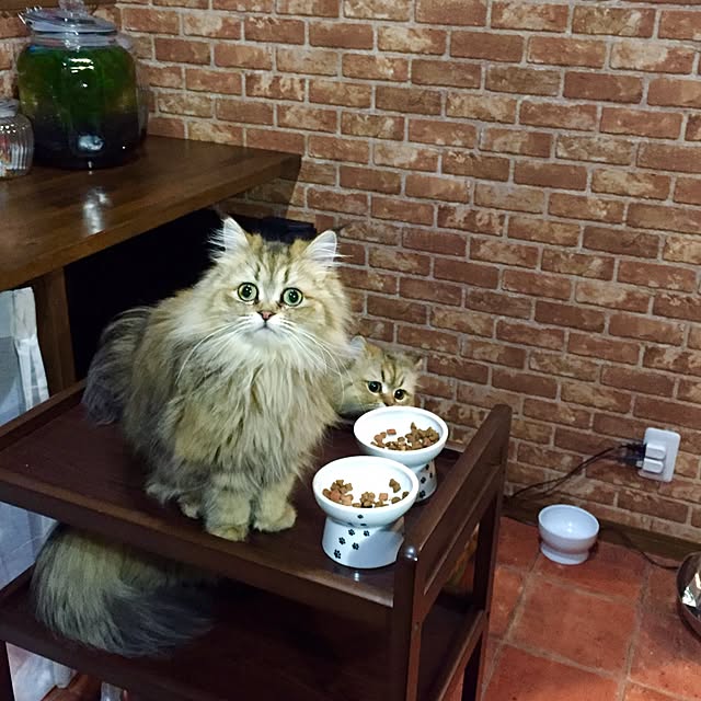 butachanさんの実例写真