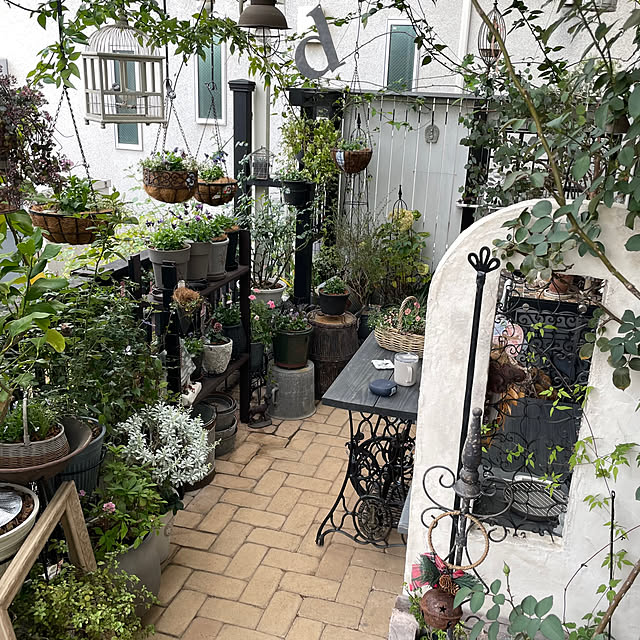 shiropenguinさんの実例写真