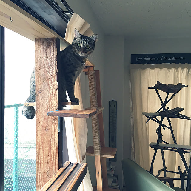 Mさんの実例写真