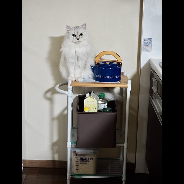 miravivianさんの実例写真