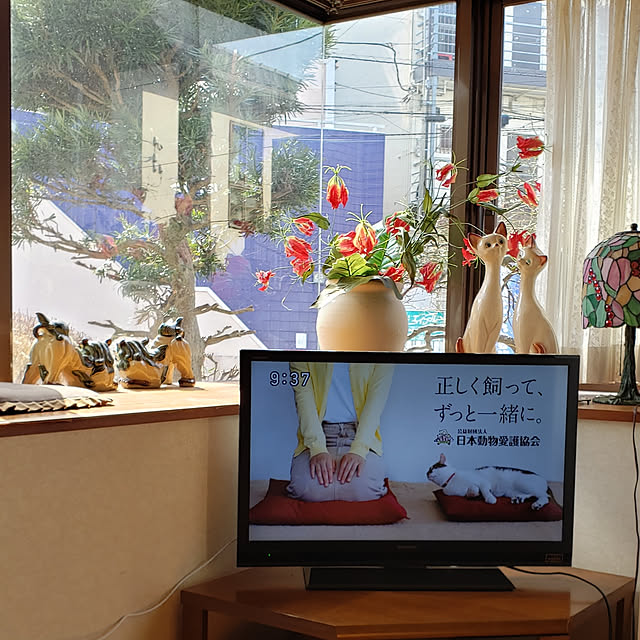 Mayumi8888さんの実例写真