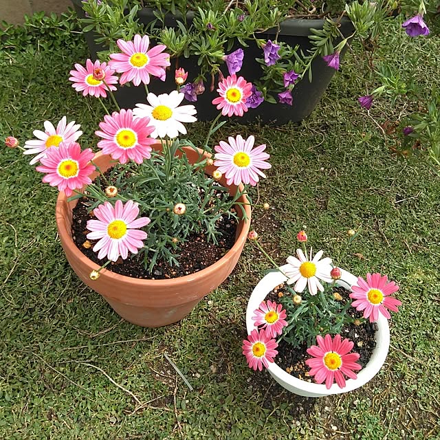 h.t.さんの部屋