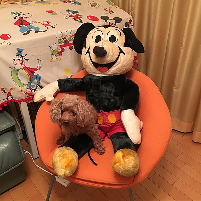 Keikoさんの実例写真