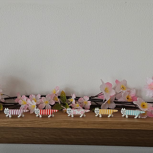 mayumiさんの部屋