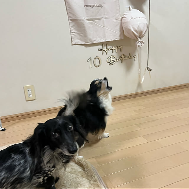 mkさんの実例写真