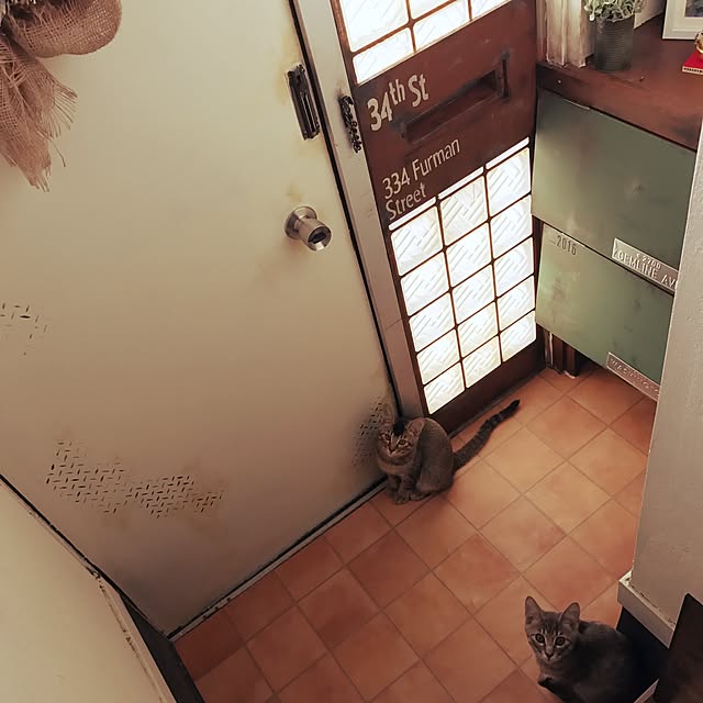 ma-ya-sunsunさんの実例写真