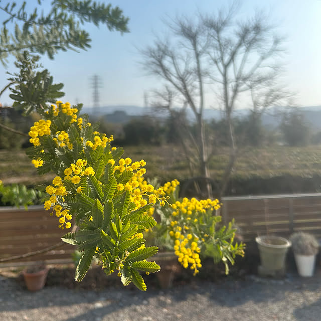 nana77さんの部屋